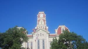 Artificial grass services in Parker, TX